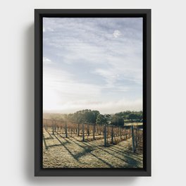 Sunny vines Framed Canvas
