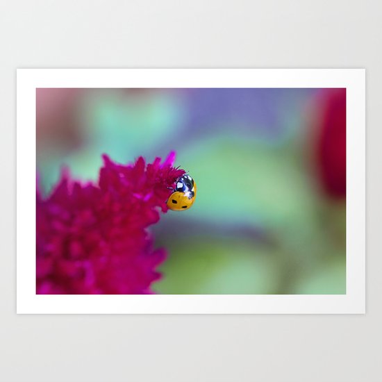Color Me Beautiful Art Print
