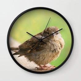Baby Bird Wall Clock