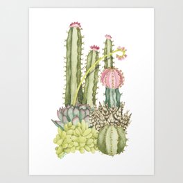 Gilded Cacti Art Print