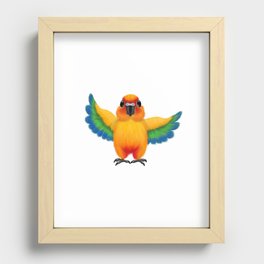 Sun conure digital drawing Recessed Framed Print