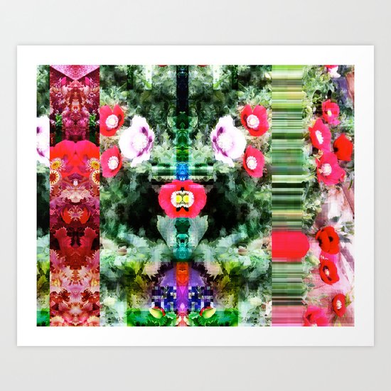 Poppy 2 Art Print