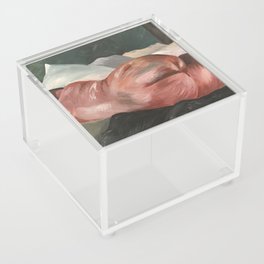 Hibernation Acrylic Box