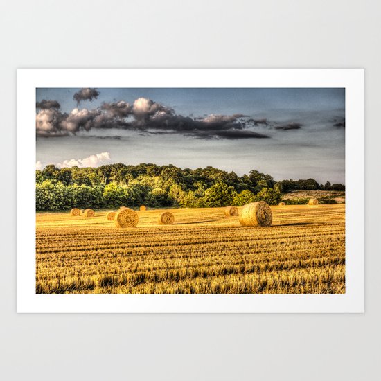 The Summer Farm Art Print