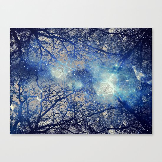 Winter Wood Canvas Print