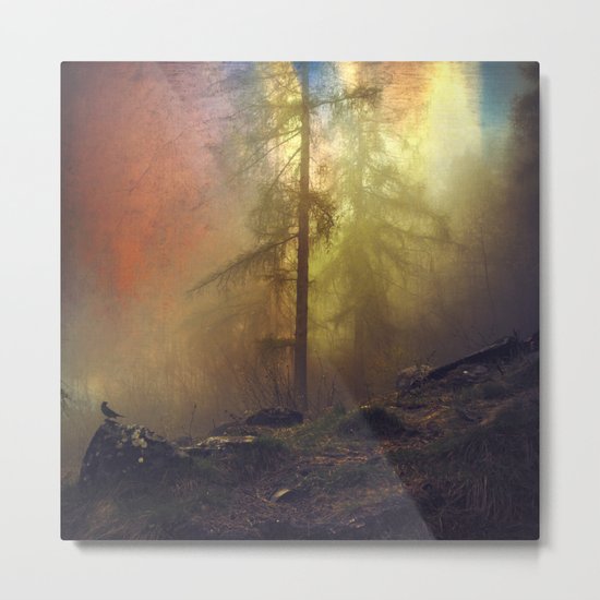 mystery and imagination Metal Print