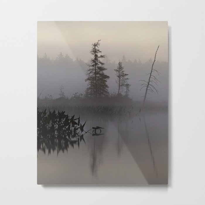 trees and weeds in the fog Metal Print
