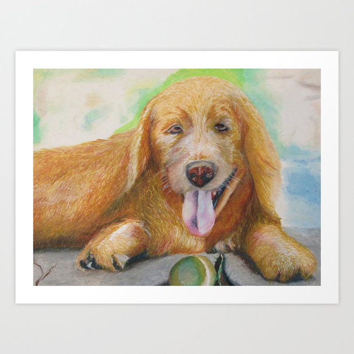 Lazy golden retriever online