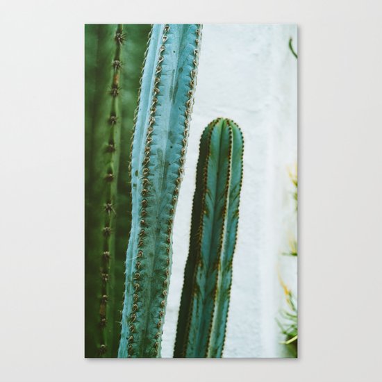 California Cactus Garden II Canvas Print