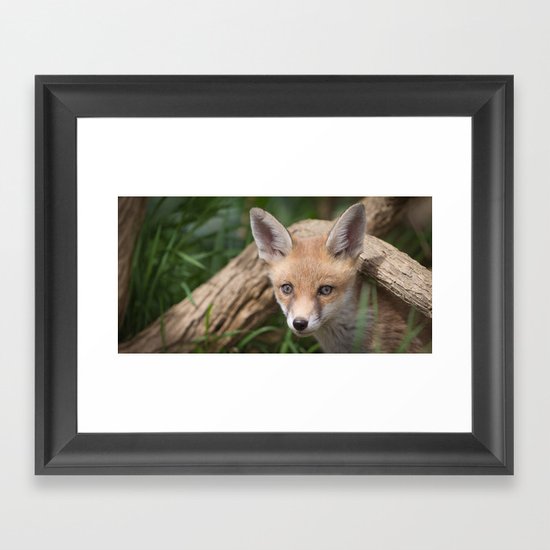Fox Cub Framed Art Print