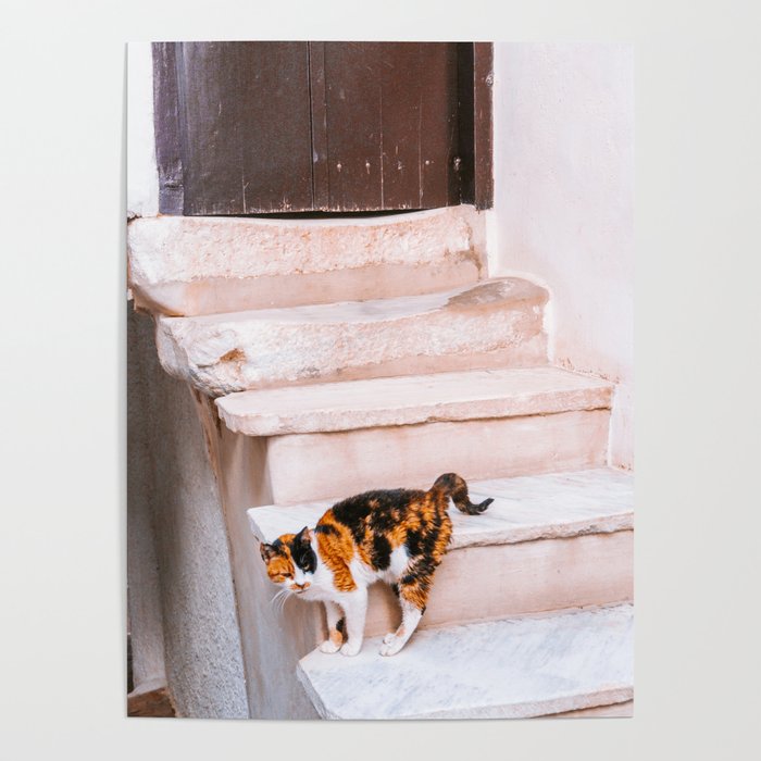Cats of Greece | Colorful Photography of a Stray Cat on the Greek Islands Poster