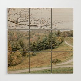road in the mountains Wood Wall Art