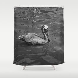 Brown Pelican B & W 0581 - Cedar Key, Florida Shower Curtain