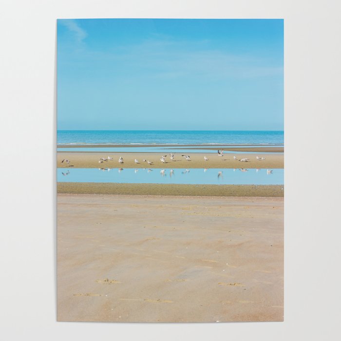 Seagulls on Beach Photo | Beige Blue Coastal Landscape Photography  Poster