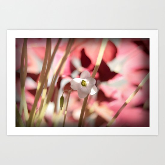 Hello Art Print