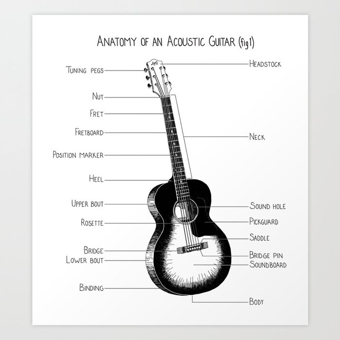 Anatomy of an Acoutic Guitar (fig 1) Art Print Art Print