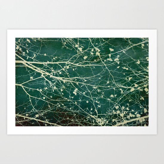 boughs Art Print