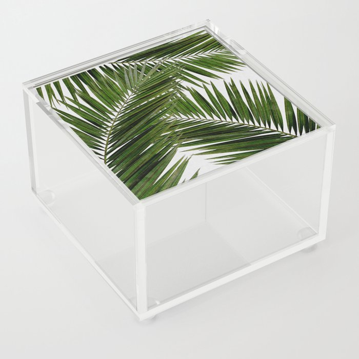Palm Leaf III Acrylic Box