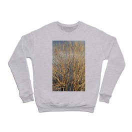 Winter Tree in the Sun Crewneck Sweatshirt