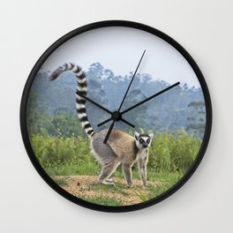 Ring tailed Lemur Madagascar Wall Clock
