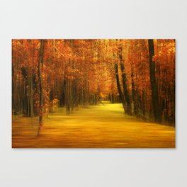 Forest path 63 Canvas Print