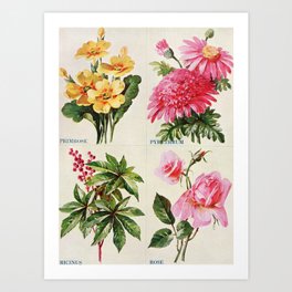 Flowers vintage art Art Print