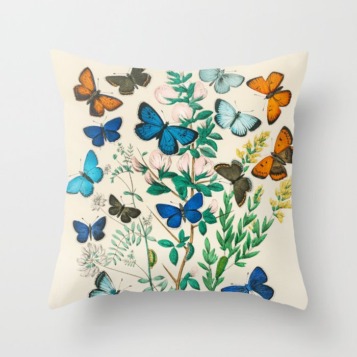 Butterflies and Flowers Vintage Illustration 6 Throw Pillow