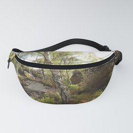 Dancing in the Fairy Realms  Fanny Pack