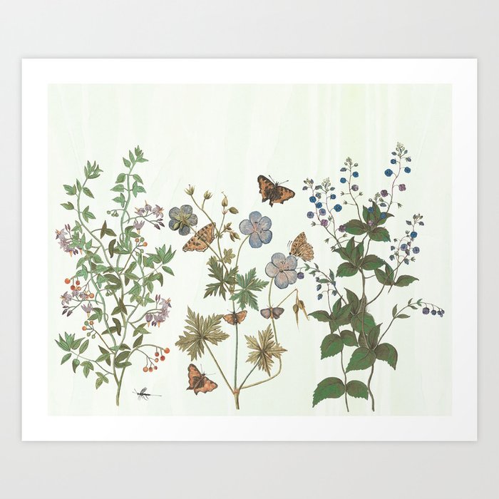 The fragility of living - botanical illustration Kunstdrucke The fragility of living - botanical illustration Kunstdrucke