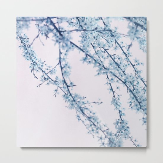 melody Metal Print