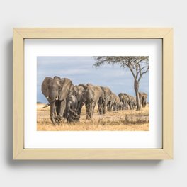 Elephants on Parade Recessed Framed Print