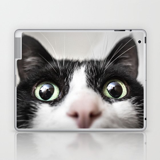 Funny Cat Laptop & iPad Skin