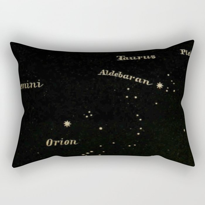 Taurus And Gemini Rectangular Pillow