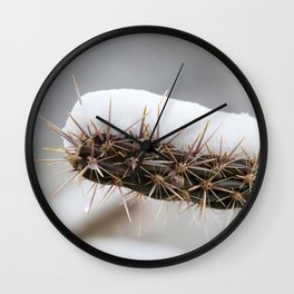 Cactus with snow cap Wall Clock
