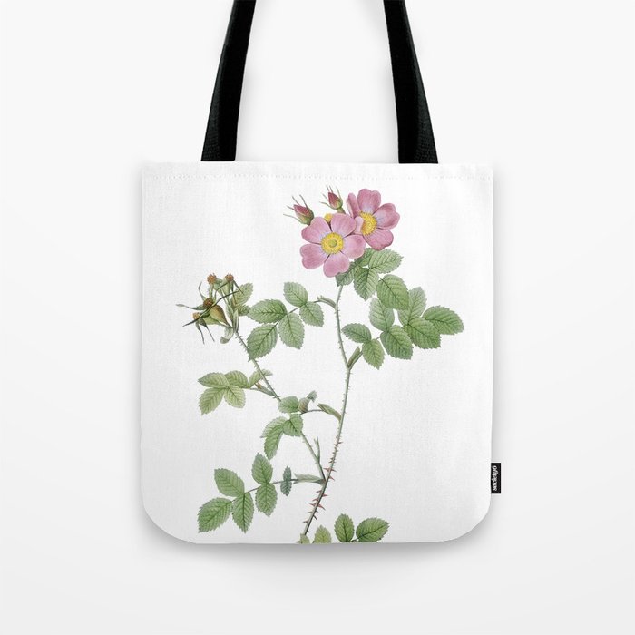 Vintage Pink Sweetbriar Roses Botanical Illustration on Pure White Tote Bag