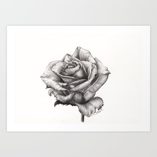 Marilyn Monroe tea Rose Art Print