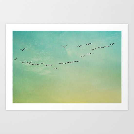 Fly Art Print