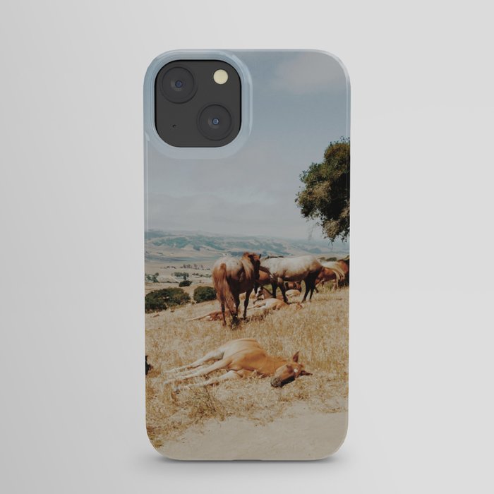 Nap Time iPhone Case