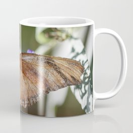 Julia Heliconian Dryas Julia Butterfly Coffee Mug