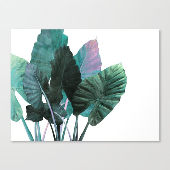 Urban Jungle #2 Canvas Print