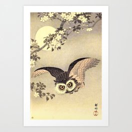Koson Ohara - Scops Owl in Flight, Cherry Blossoms and Full Moon - Japanese Vintage Woodblock Art Print