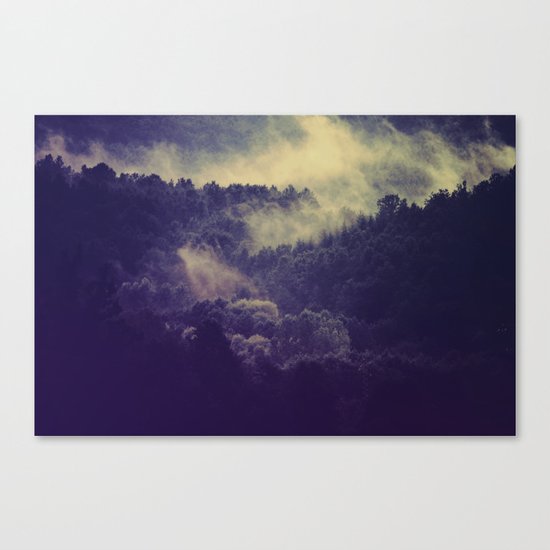 Mysterious Forest Canvas Print