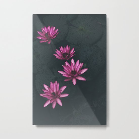 pink and black Metal Print