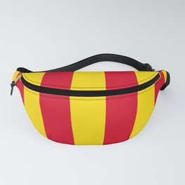 Flag of Provence Fanny Pack