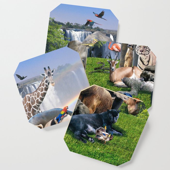 Animal Animals Rainbow Waterfall Group Scene Coaster