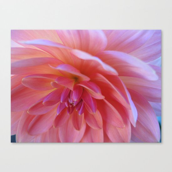 Dahlia 75 Canvas Print