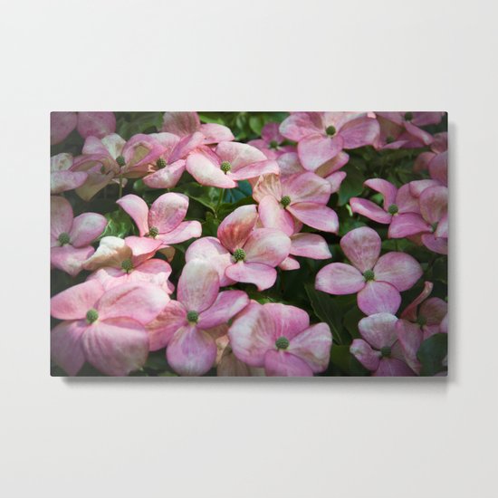 Pretty in Pink Metal Print