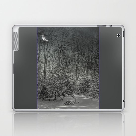 On a winters night Laptop & iPad Skin