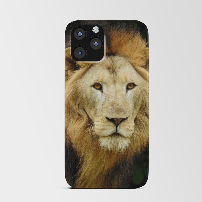 Lion the King of Beasts iPhone Card Case