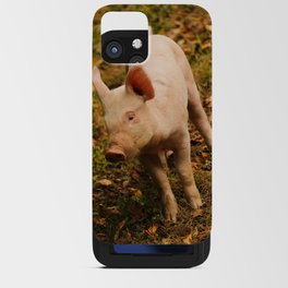 This Little Piggy Vert iPhone Card Case